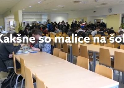 Kakšne so malice?